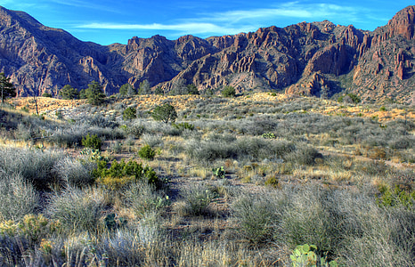 green grass across mountain thumbnail