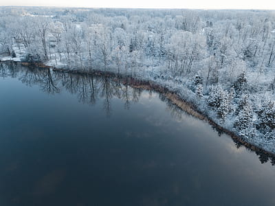trees covered by snow near body of water thumbnail