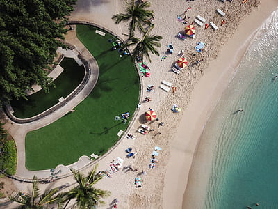aerial photo of group of people on beach thumbnail