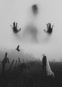 person standing near fence thumbnail
