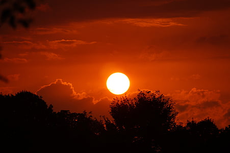 silhouette photo of trees under red sky thumbnail