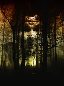 Abraham Lincoln tree optical illusion thumbnail