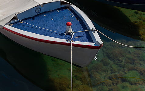 white and blue boat on body of water thumbnail