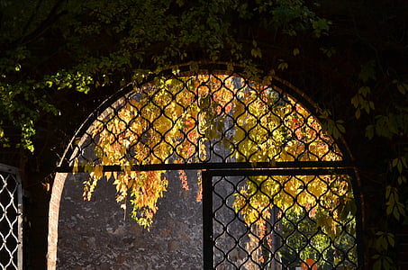 half closed gate thumbnail