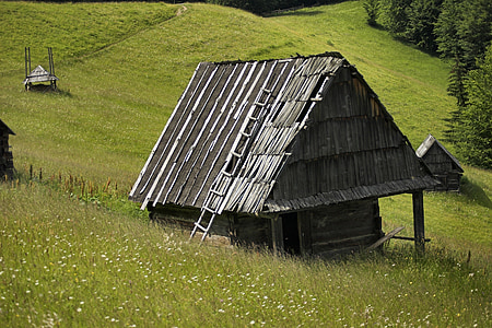 gray nipa hut surrounded by green grass thumbnail