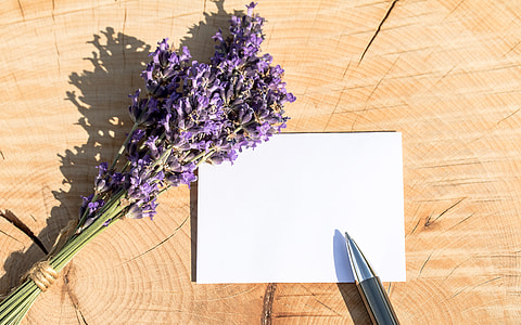 purple cluster petaled flower and white paper on brown wood slab thumbnail