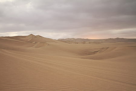 brown desert field during daytime thumbnail