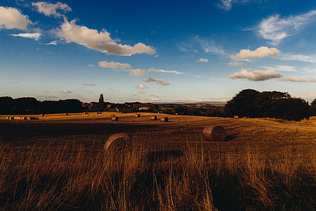 bales of hay on field thumbnail