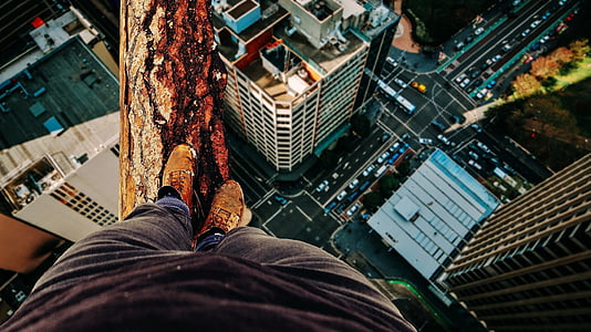 person standing on tree log with city buildings on the ground thumbnail