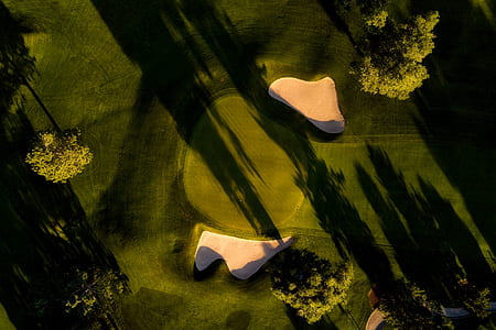 aerial photography of trees and grass thumbnail