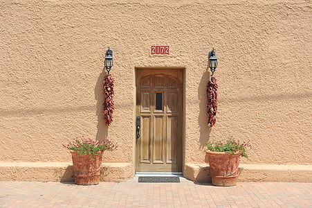 flower in pots beside wall near brown wooden closed door thumbnail
