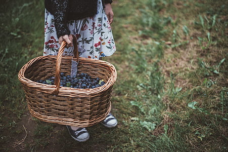 person carrying wicker basket thumbnail