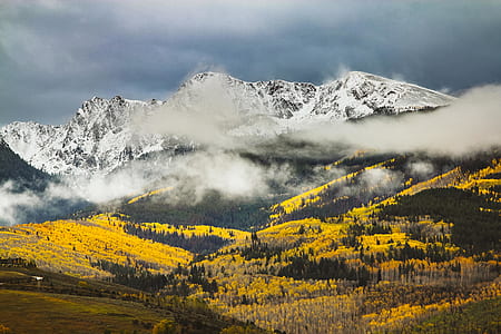 yellow trees field near mountains during daytime thumbnail