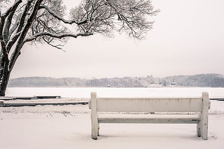 cold, snow, bench, water thumbnail