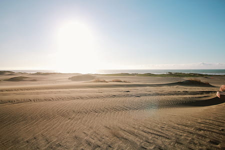 Gray Sand Field thumbnail