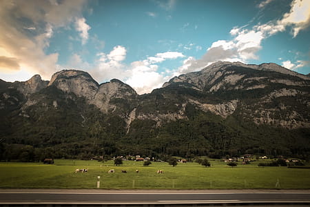 Grass Field With Background of Mountains thumbnail