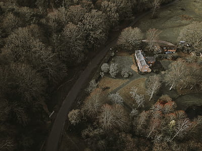 aerial view of road beside trees during daytime thumbnail