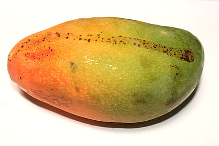mango fruit thumbnail