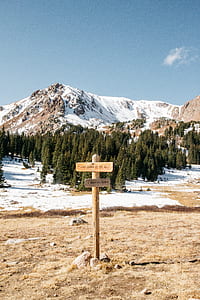 brown wooden pedestal signage near pine trees and alp mountains thumbnail