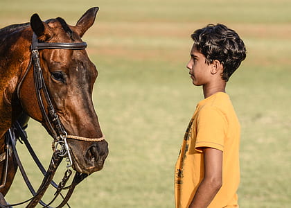 boy standing infront of brown horse thumbnail