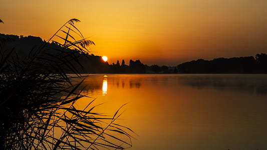 body of water during golden hour thumbnail