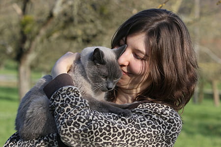 woman holding Siamese cat thumbnail