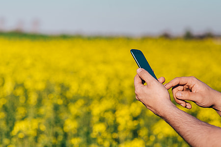 Laptop computer, mobile phone and spring rapes field thumbnail