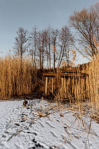 In middle of frozen lake thumbnail