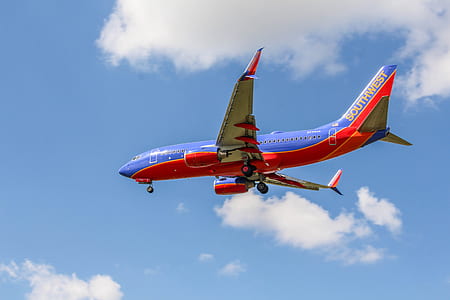 low angle photography of blue and red airline thumbnail