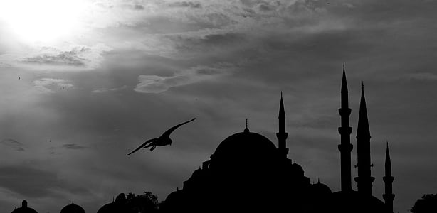 silhouette photo of building thumbnail