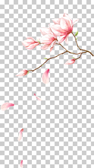 Pink flowers Petal Computer file, Flowers with petals falling on, pink petaled flowers illustration PNG clipart