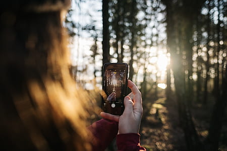 woman taking photo at trees thumbnail