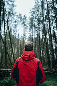 Photography of Man Wearing Black and Red Jacket Standing in Forest thumbnail