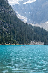 green pine trees on mountain beside water landscape photography thumbnail