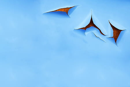 blue painted wall thumbnail