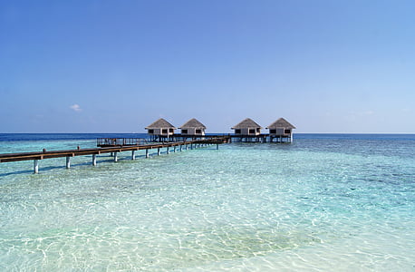 brown houses on body of water thumbnail