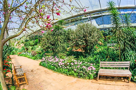 Bench Surrounded With Green Plants thumbnail