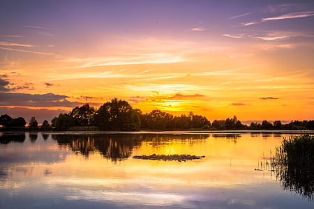 photography of tree near lake during sunset thumbnail
