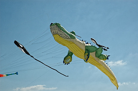 white, yellow, and green crocodile kite thumbnail