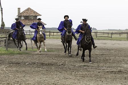 Puszta Horse Farm, Hungary thumbnail
