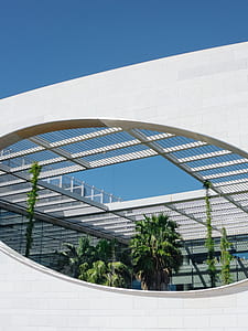 palm trees inside open ceiling building thumbnail