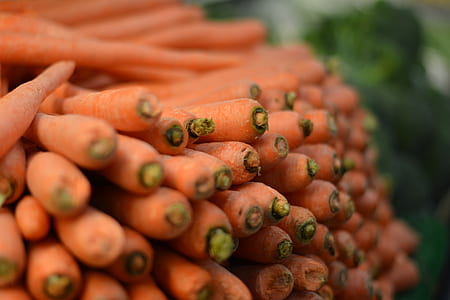 pile of carrot vegetables thumbnail