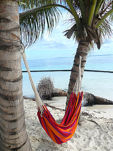 multicolored hammock in the middle of two trees thumbnail