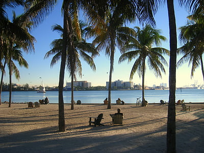 person sitting under the tree thumbnail