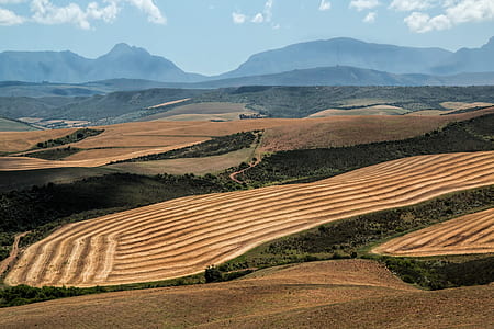 landscape of field thumbnail