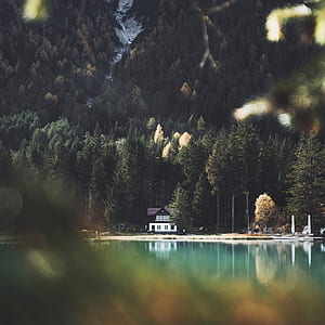 white and black wooden house near lake in front of forest thumbnail