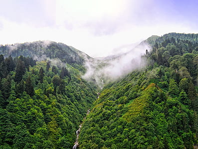 green mountain thumbnail