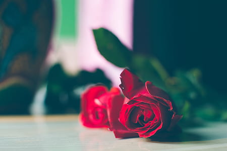 two red roses on wooden surface thumbnail