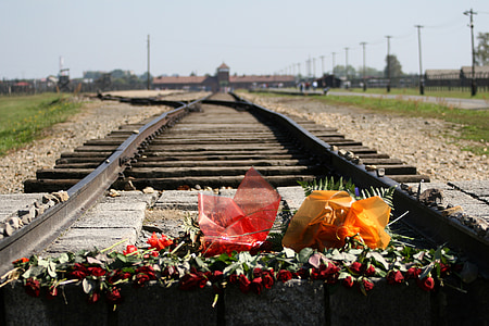 red petaled flowers bouquet on brown train rail at daytime thumbnail