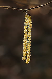 selective focus photography of yellow flower thumbnail